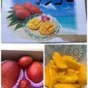 ヒメ日記 2025/07/20 14:30 投稿 みやび 奥様の実話 谷九店