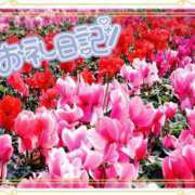 ヒメ日記 2024/12/10 19:08 投稿 中川まこ 五十路マダム 岐阜店