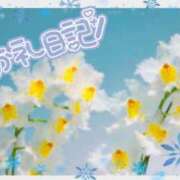 ヒメ日記 2024/12/18 09:40 投稿 中川まこ 五十路マダム 岐阜店