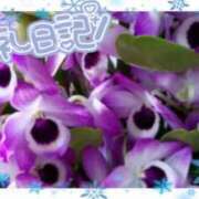 ヒメ日記 2024/12/18 10:06 投稿 中川まこ 五十路マダム 岐阜店