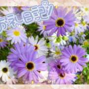 ヒメ日記 2024/12/19 23:04 投稿 中川まこ 五十路マダム 岐阜店