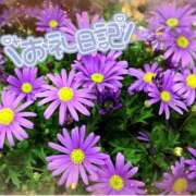 ヒメ日記 2024/12/22 13:32 投稿 中川まこ 五十路マダム 岐阜店