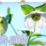 ヒメ日記 2024/12/22 14:16 投稿 中川まこ 五十路マダム 岐阜店