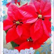 ヒメ日記 2024/12/22 16:16 投稿 中川まこ 五十路マダム 岐阜店