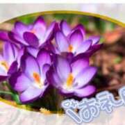 ヒメ日記 2025/01/03 20:04 投稿 中川まこ 五十路マダム 岐阜店