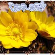 ヒメ日記 2025/01/06 06:56 投稿 中川まこ 五十路マダム 岐阜店