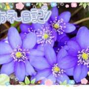 ヒメ日記 2025/01/11 15:06 投稿 中川まこ 五十路マダム 岐阜店