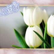 ヒメ日記 2025/01/11 15:32 投稿 中川まこ 五十路マダム 岐阜店