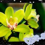 ヒメ日記 2025/01/14 22:50 投稿 中川まこ 五十路マダム 岐阜店