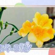 ヒメ日記 2025/01/25 11:32 投稿 中川まこ 五十路マダム 岐阜店