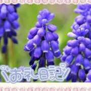 ヒメ日記 2025/02/02 17:32 投稿 中川まこ 五十路マダム 岐阜店