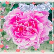 ヒメ日記 2025/02/10 06:32 投稿 中川まこ 五十路マダム 岐阜店