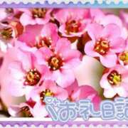 ヒメ日記 2025/02/10 17:32 投稿 中川まこ 五十路マダム 岐阜店