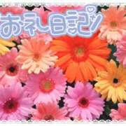 ヒメ日記 2025/02/11 18:04 投稿 中川まこ 五十路マダム 岐阜店