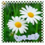 ヒメ日記 2025/02/21 12:06 投稿 中川まこ 五十路マダム 岐阜店