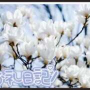 ヒメ日記 2025/03/06 11:18 投稿 中川まこ 五十路マダム 岐阜店