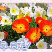 ヒメ日記 2025/03/06 20:06 投稿 中川まこ 五十路マダム 岐阜店