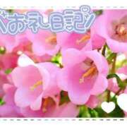 ヒメ日記 2025/03/08 19:02 投稿 中川まこ 五十路マダム 岐阜店