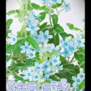 ヒメ日記 2025/03/09 00:46 投稿 中川まこ 五十路マダム 岐阜店