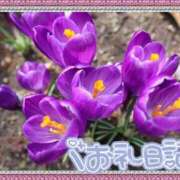 ヒメ日記 2025/03/13 21:44 投稿 中川まこ 五十路マダム 岐阜店