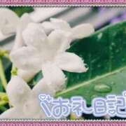 ヒメ日記 2025/03/22 13:52 投稿 中川まこ 五十路マダム 岐阜店