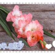 ヒメ日記 2025/03/28 08:38 投稿 中川まこ 五十路マダム 岐阜店