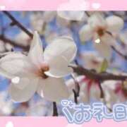 ヒメ日記 2025/04/02 18:32 投稿 中川まこ 五十路マダム 岐阜店