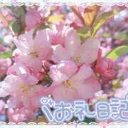 ヒメ日記 2025/04/06 18:22 投稿 中川まこ 五十路マダム 岐阜店