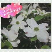 ヒメ日記 2025/04/18 19:16 投稿 中川まこ 五十路マダム 岐阜店