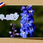 ヒメ日記 2025/04/23 18:44 投稿 中川まこ 五十路マダム 岐阜店