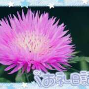 ヒメ日記 2025/04/27 14:36 投稿 中川まこ 五十路マダム 岐阜店