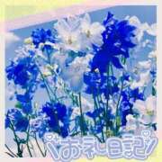 ヒメ日記 2025/05/01 09:14 投稿 中川まこ 五十路マダム 岐阜店