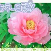 ヒメ日記 2025/05/21 15:32 投稿 中川まこ 五十路マダム 岐阜店