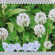 ヒメ日記 2025/06/01 16:54 投稿 中川まこ 五十路マダム 岐阜店