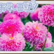 ヒメ日記 2025/06/09 19:02 投稿 中川まこ 五十路マダム 岐阜店