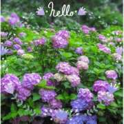 ヒメ日記 2025/06/16 09:32 投稿 中川まこ 五十路マダム 岐阜店