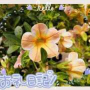 ヒメ日記 2025/06/21 13:32 投稿 中川まこ 五十路マダム 岐阜店