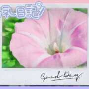 ヒメ日記 2025/06/29 14:16 投稿 中川まこ 五十路マダム 岐阜店