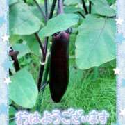 ヒメ日記 2025/07/01 06:32 投稿 中川まこ 五十路マダム 岐阜店