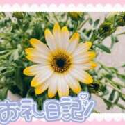 ヒメ日記 2025/07/02 08:32 投稿 中川まこ 五十路マダム 岐阜店