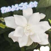 ヒメ日記 2025/07/04 08:46 投稿 中川まこ 五十路マダム 岐阜店