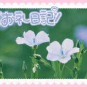 ヒメ日記 2025/07/05 20:04 投稿 中川まこ 五十路マダム 岐阜店