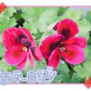 ヒメ日記 2025/07/12 10:46 投稿 中川まこ 五十路マダム 岐阜店