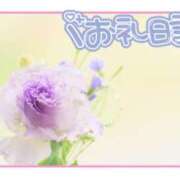 ヒメ日記 2025/07/13 11:04 投稿 中川まこ 五十路マダム 岐阜店