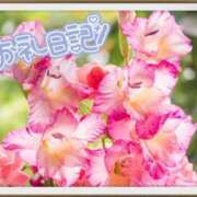 ヒメ日記 2025/07/16 20:46 投稿 中川まこ 五十路マダム 岐阜店