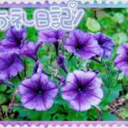 ヒメ日記 2025/07/24 19:32 投稿 中川まこ 五十路マダム 岐阜店