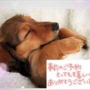 ヒメ日記 2025/07/25 01:02 投稿 中川まこ 五十路マダム 岐阜店