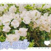 ヒメ日記 2025/08/05 20:02 投稿 中川まこ 五十路マダム 岐阜店