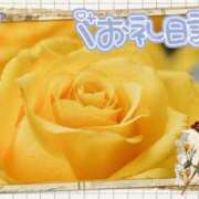 ヒメ日記 2025/08/05 23:58 投稿 中川まこ 五十路マダム 岐阜店