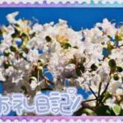 ヒメ日記 2025/08/08 21:18 投稿 中川まこ 五十路マダム 岐阜店